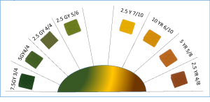 Panel couleurs